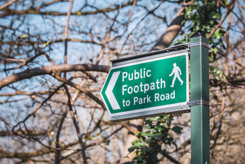 A green rectangular sign with white text and symbols indicating a public footpath leading to Park Road is mounted on a dark green metal post. The sign features a walking pedestrian icon on the right side and an arrow pointing left, suggesting the direction of the footpath. The background consists of a clear blue sky and a network of tree branches with some green leaves and budding twigs, indicating early spring. The sunlight illuminates the sign and the surrounding environment, creating subtle shadows. The scene appears to be outdoors on a calm day, with the sign positioned on a pathway or roadside near a park or green space, relevant to directions for pedestrians and possibly associated with local community pathways or alternative routes for outdoor rubbish disposal or waste collection access. The clean and well-maintained appearance of the sign reflects typical signage used within urban or suburban areas for guiding foot traffic, consistent with a local waste management and rubbish collection context.