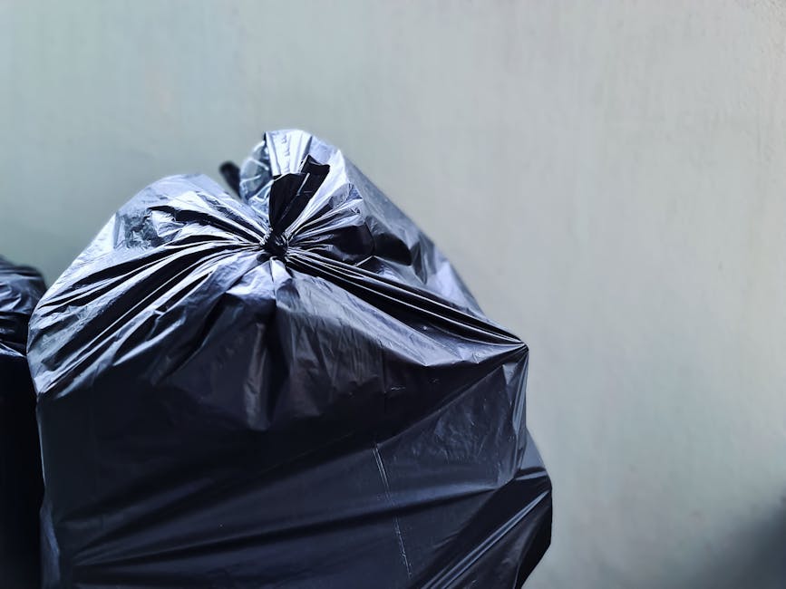 https://wastecollectiontufnellpark.co.uk/blog/tufnell-park-road-rubbish-collection-guide-for-n19-homes/